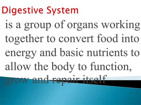 Image result for PowerPoint About Digestive System