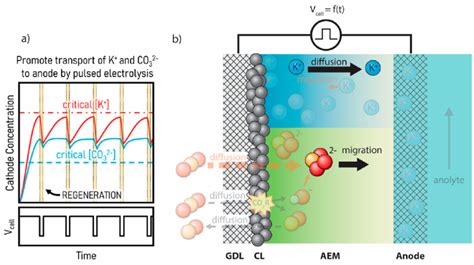 Image result for Concentration Gradient in Cathode