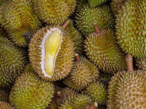 Image result for SQL Query Reference