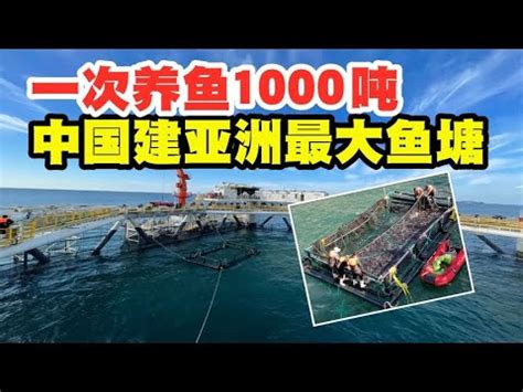 一次可养殖1000吨？亚洲“最大鱼塘”长啥样，来到中国就知道了 - 知乎