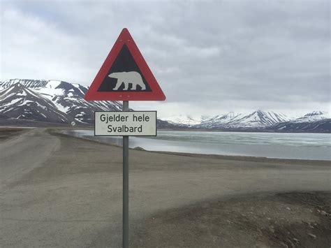 FATBIKE SPITSBERGEN (2026) All You Need to Know BEFORE You Go (with ...