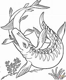 dinosaur coloring pages free online mosasaurus dinosaur coloring page free printable coloring pages dinosaur coloring pages free online mosasaurus dinosaur coloring page free printable coloring pages