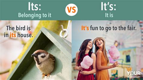 Image result for Its