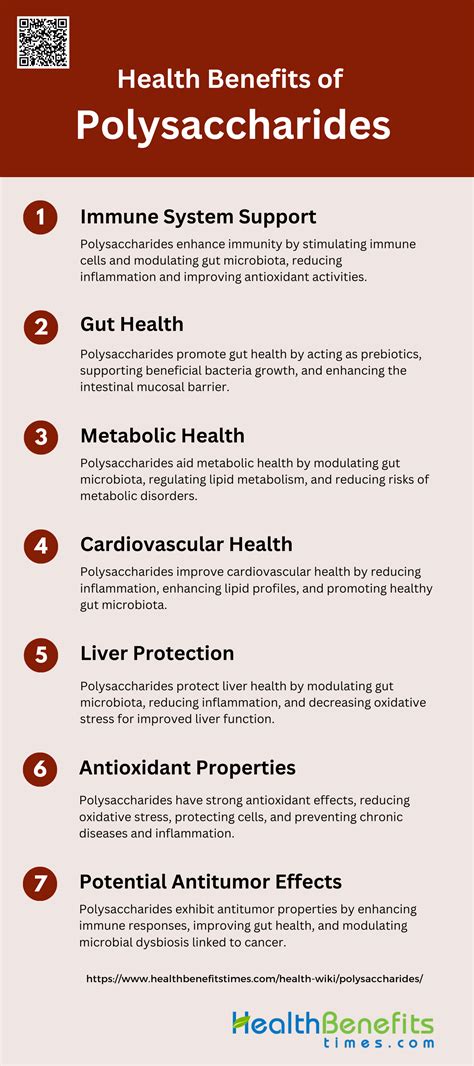 What is Polysaccharides: Characteristics, Types, and Functions - Health ...