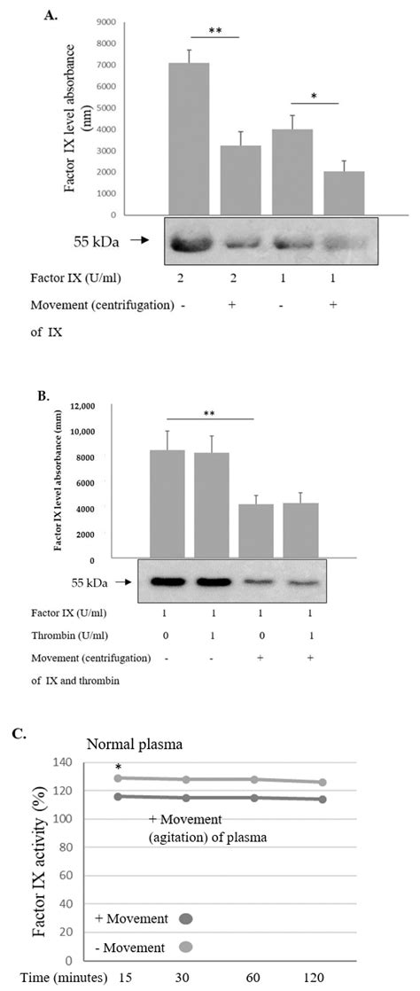 Augmented Degradation of Factors VIII and IX in the Intermittent ...
