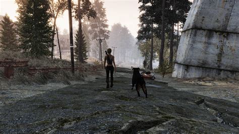 Destiny 2 60 的图像结果