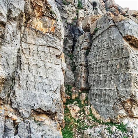 KOOL FARAH (2026) All You Need to Know BEFORE You Go (with Photos ...