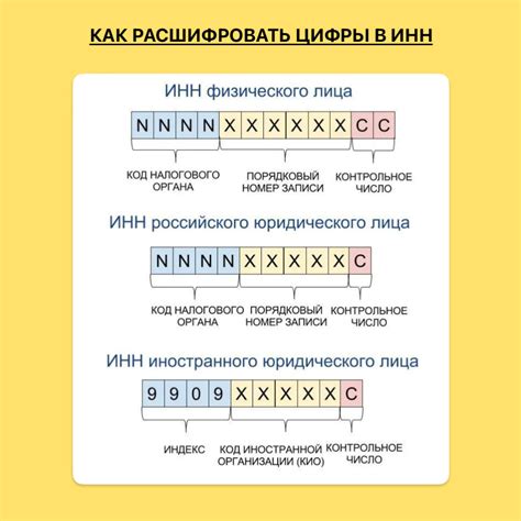Сколько цифр в ИНН и как их расшифровать