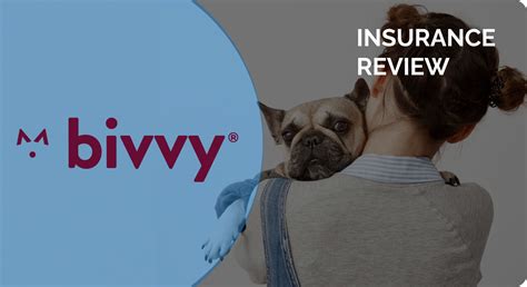 Bivvy Pet Insurance Review - Life Insurance Quotes