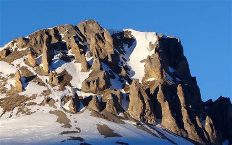 Dynamics Crash Course 的图像结果