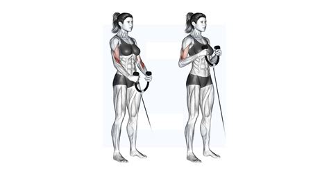 Image result for Power Clean Exercise Move