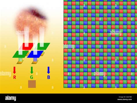 Image result for Using a Flatbed Scanner