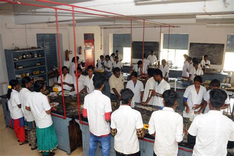 RAJA DORAISINGAM GOVT ARTS COLLEGE