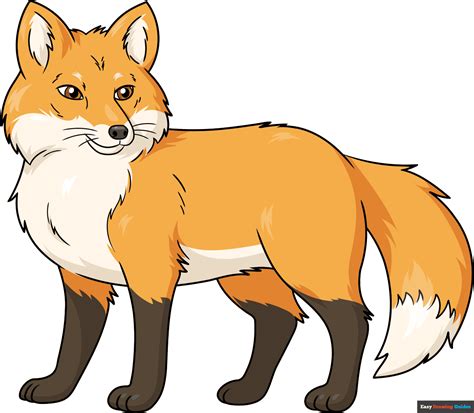 Fox drawings | Easy Drawing Guides