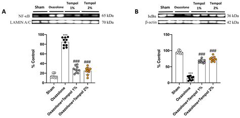 Efficacy of the Radical Scavenger, Tempol, to Reduce Inflammation and ...