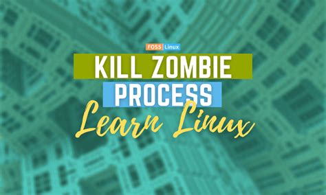Zombie Process 的图像结果