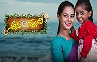 SunNetwork - Channel Deatils