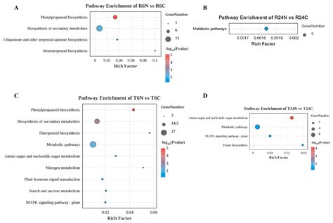 Identification, Cloning, and Characterization of Two Acupuncture-Injury ...