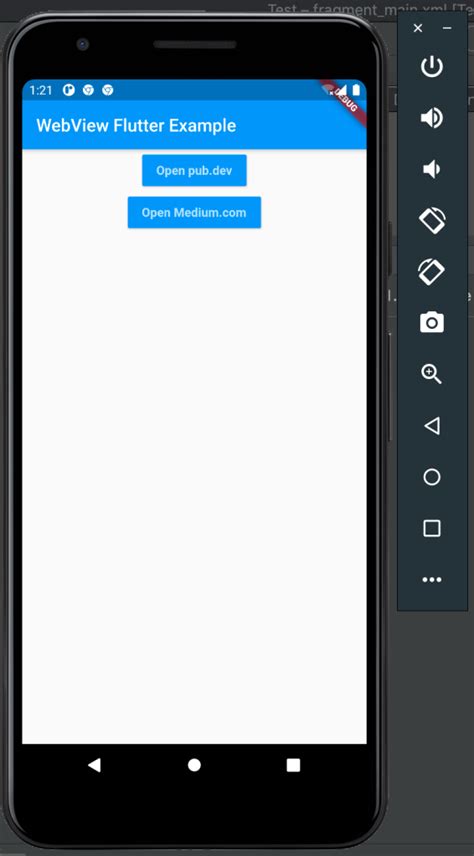 Flutter Webview Tutorial 的图像结果