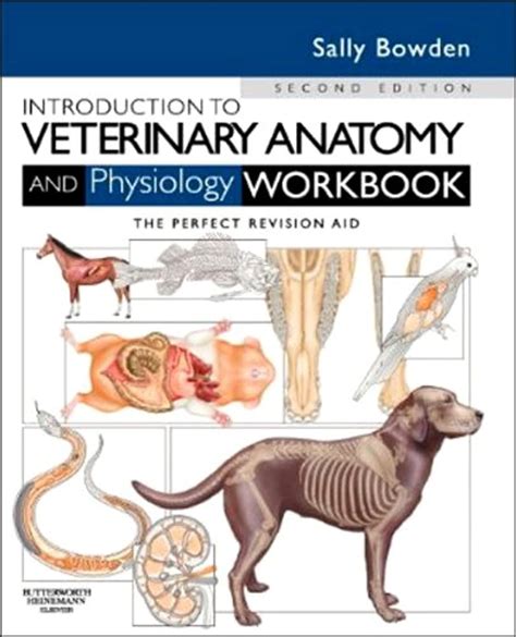 Introduction to Veterinary Anatomy and Physiology Workbook: 9780702052323: Medicine & Health ...