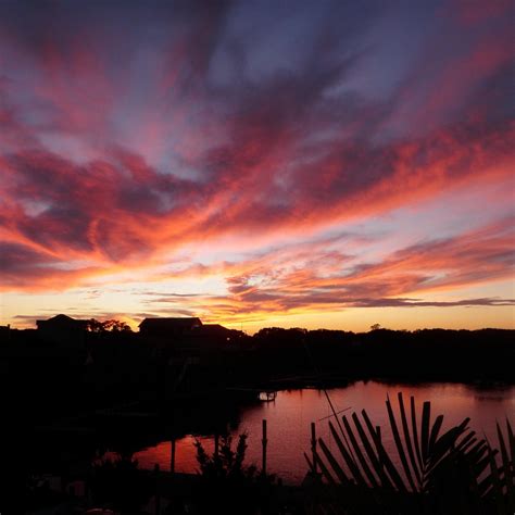 COASTAL BOARD & PADDLE (2026) All You Need to Know BEFORE You Go (with ...