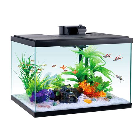 Free Shipping! Aqua Culture Glass 20 Gallon Aquarium Starter Kit, Black ...