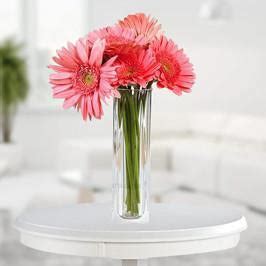 Sweet Gerberas– Bloomsvilla