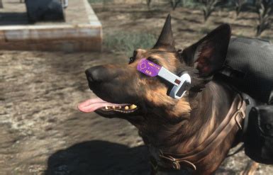 Image result for Fallout 4 Scouter Mods