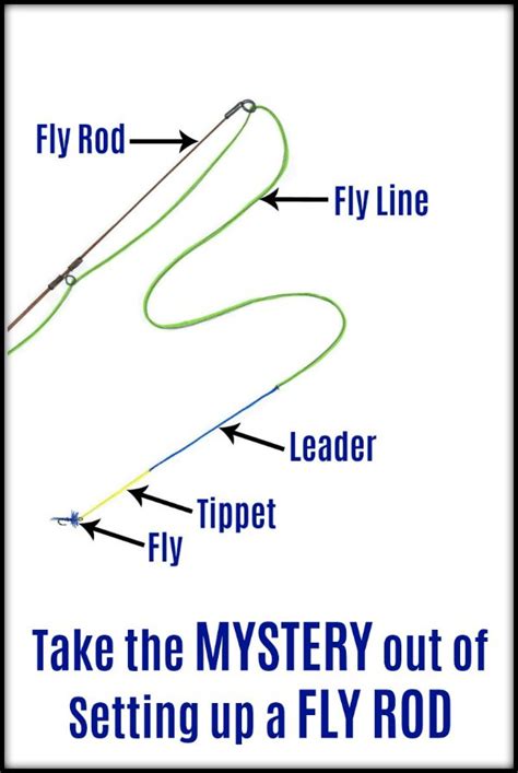 Image result for Fly Rod Set Up