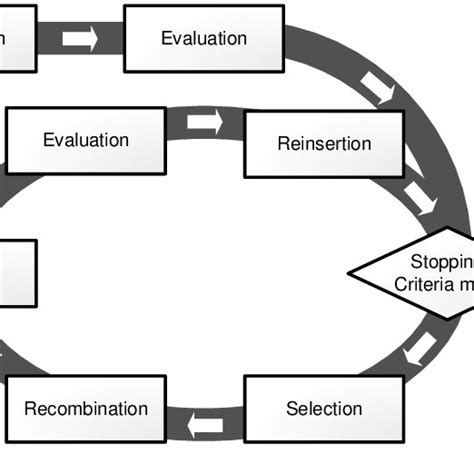 Evolutionary Algorithm 的图像结果