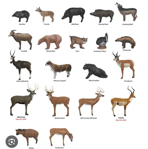 Morehead 3D Archery Shoot, 900 Hunters Ln Morehead Ky, 22 June 2024 ...