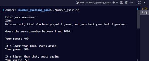 Image result for Random Number Guessing Game Visual Basic