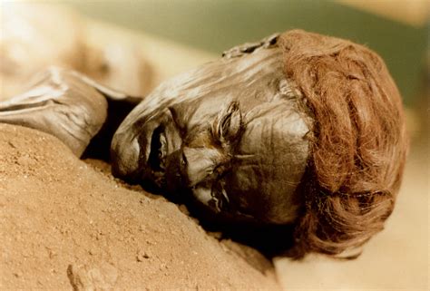 The Mummy Files: Deciphering the World's Best-Preserved Ancient Bodies ...
