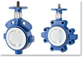 Wafer Body Teflon Lined Valves, Lug Body Teflon Lined Valve, India