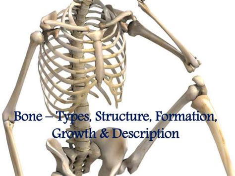 Bone types, Structure, Formation, Growth & Description | PPTX