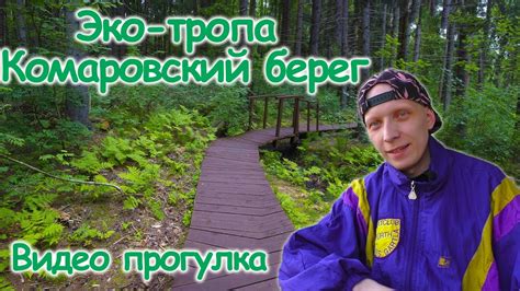 Прогулка по Эко-тропе КОМАРОВСКИЙ БЕРЕГ / 4K VIDEO - YouTube