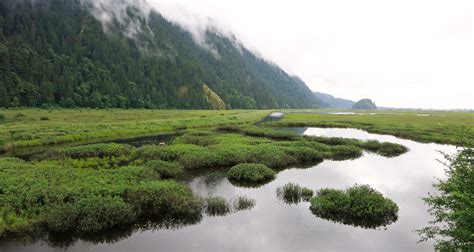 Conservation Lands O&M - Habitat Conservation Trust Foundation