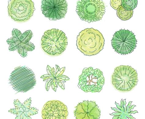 TreePlan 的图像结果