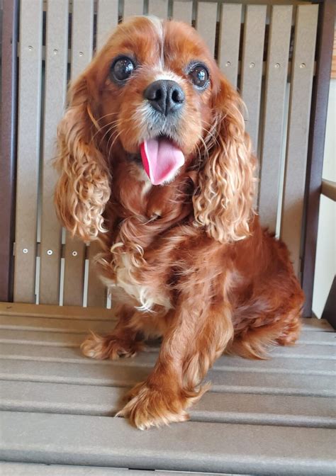 Model Ruby Mae 的图像结果