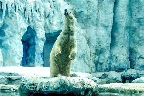 Safari World Admission Ticket (with Reviews)