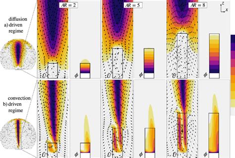 Image result for Mass Concentration Gradient