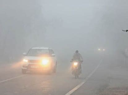 Dense fog in 10 states, visibility 50 meters in Bihar | Bhaskar English