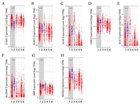 Gene Signature Associated with Nervous System in an Experimental ...
