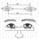 瞳距和瞳高的测量方法手册_瞳孔_距离_检查者