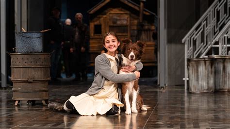Meet the two dogs in the Stratford Festival musical ‘Annie’