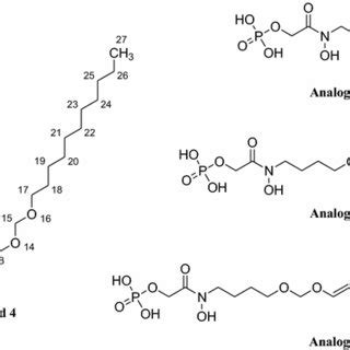 Lead Compound 的图像结果