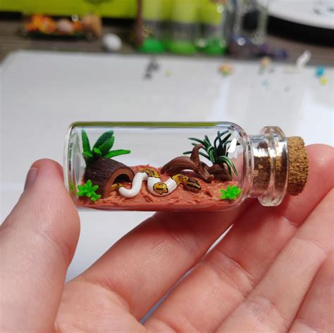 Paint Ball Python 的图像结果