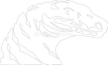 Image result for African Rock Python Drawing