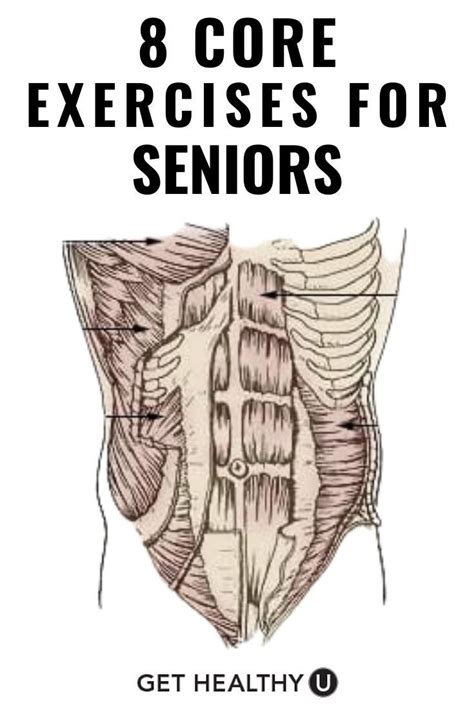 Image result for Senior Core Workout