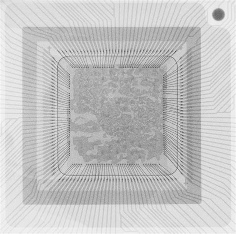 Image result for ivory for macos